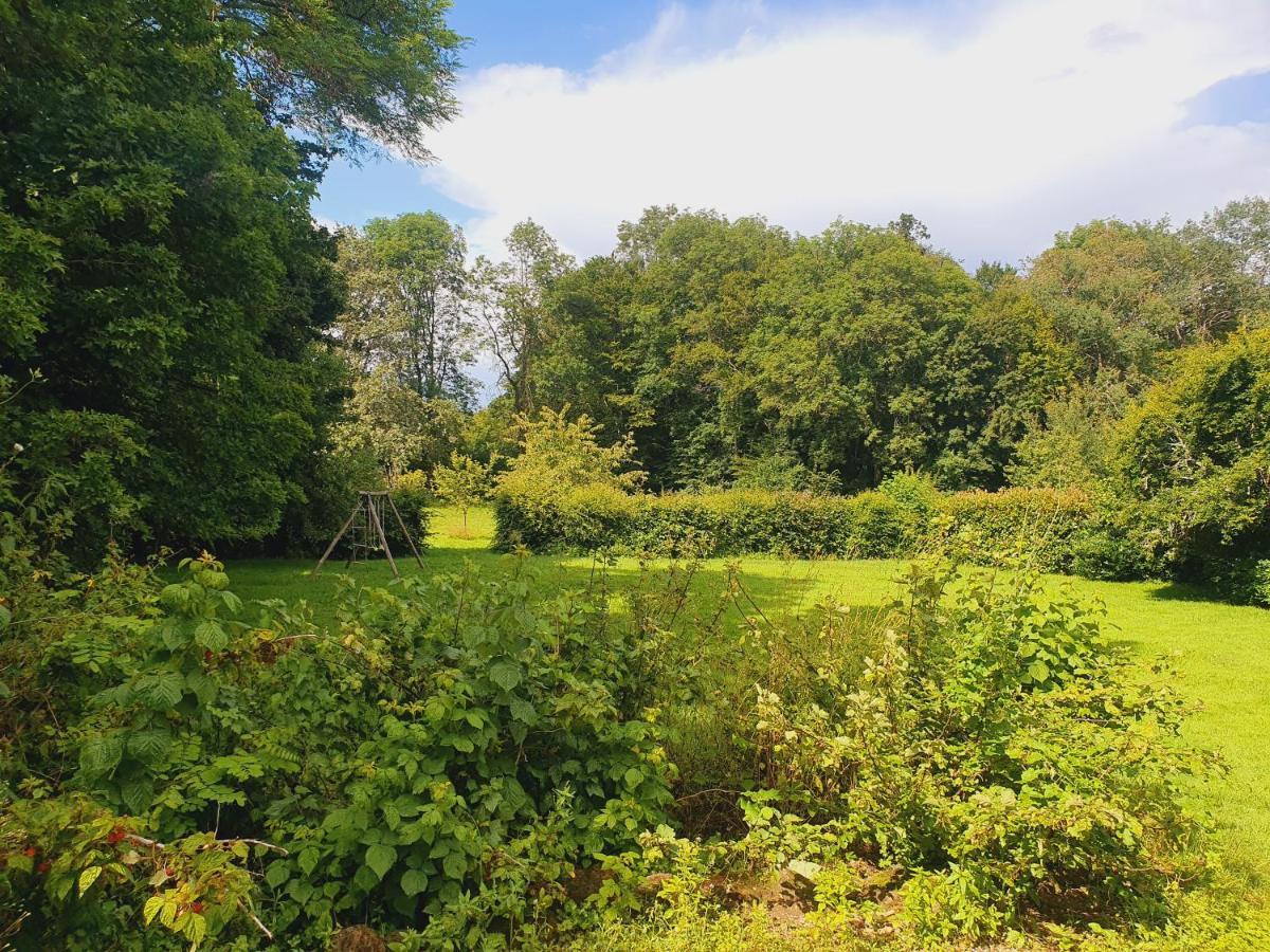 Ferme Equestre & Chambres D'Hotes Gateau Stables Proche Guedelon Saint-Amand-en-Puisaye エクステリア 写真