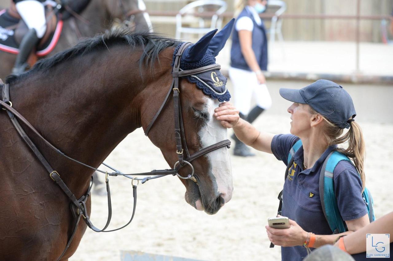 Ferme Equestre & Chambres D'Hotes Gateau Stables Proche Guedelon Saint-Amand-en-Puisaye エクステリア 写真