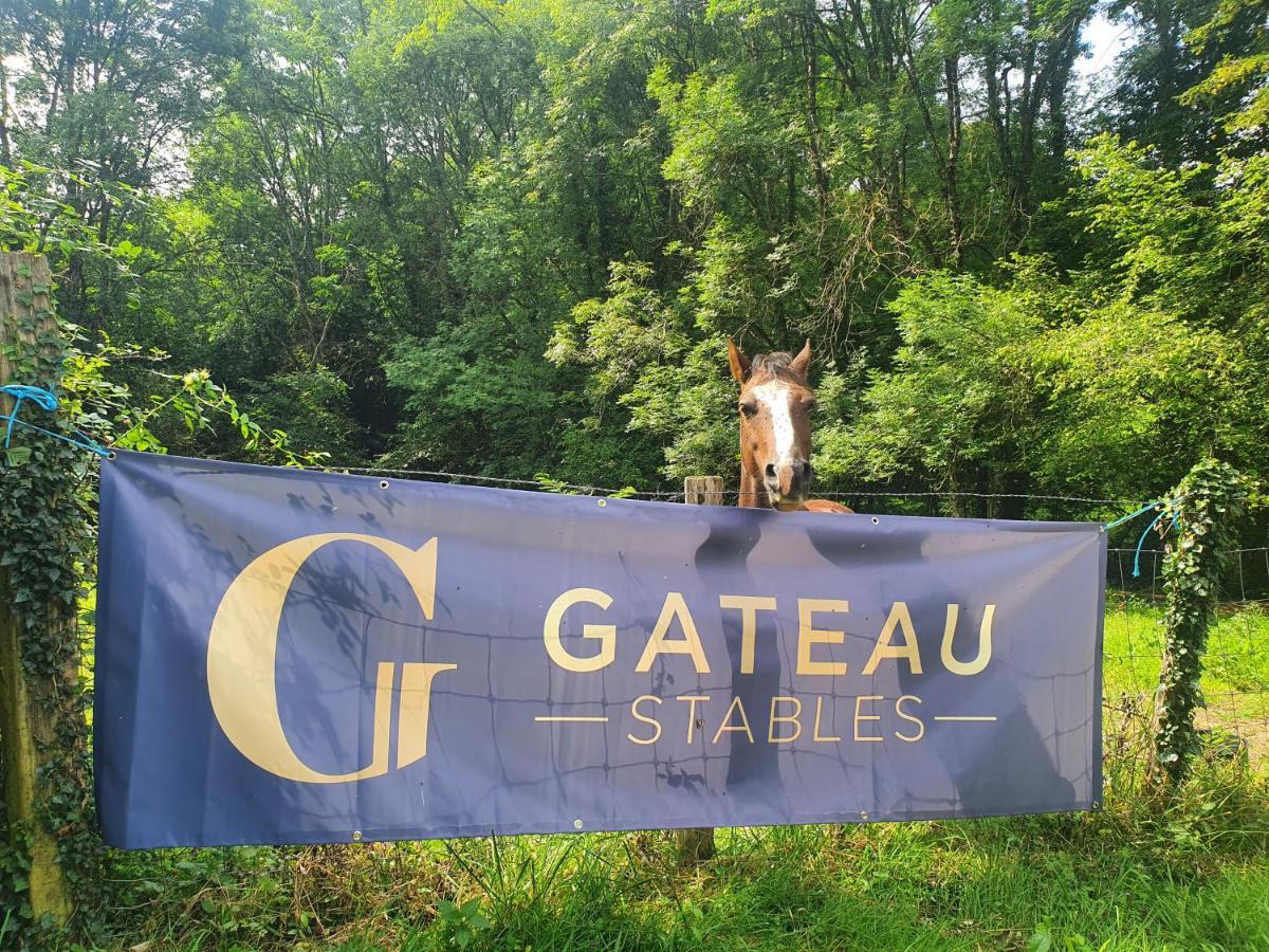 Ferme Equestre & Chambres D'Hotes Gateau Stables Proche Guedelon Saint-Amand-en-Puisaye エクステリア 写真