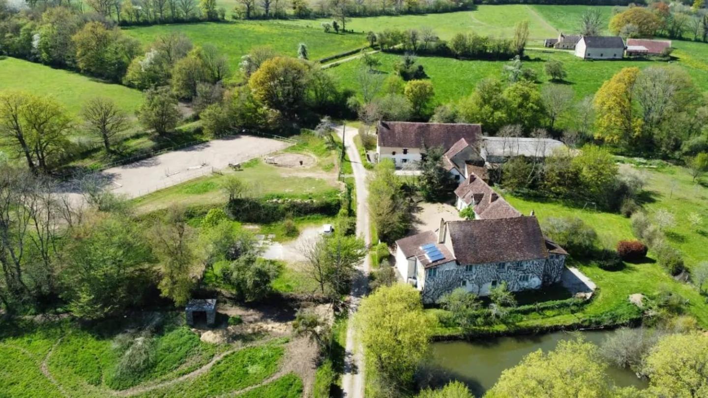 Ferme Equestre & Chambres D'Hotes Gateau Stables Proche Guedelon Saint-Amand-en-Puisaye エクステリア 写真