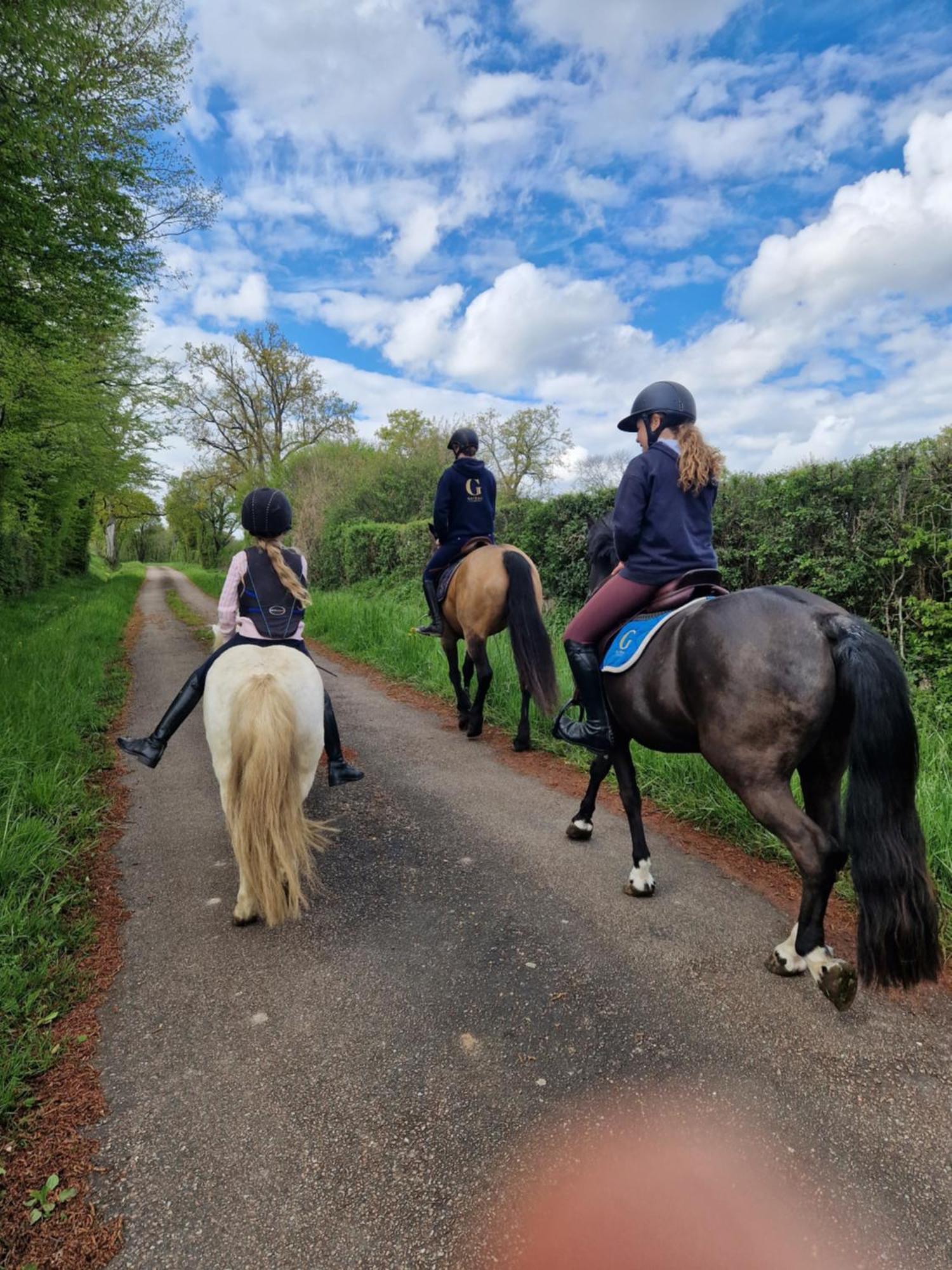 Ferme Equestre & Chambres D'Hotes Gateau Stables Proche Guedelon Saint-Amand-en-Puisaye エクステリア 写真