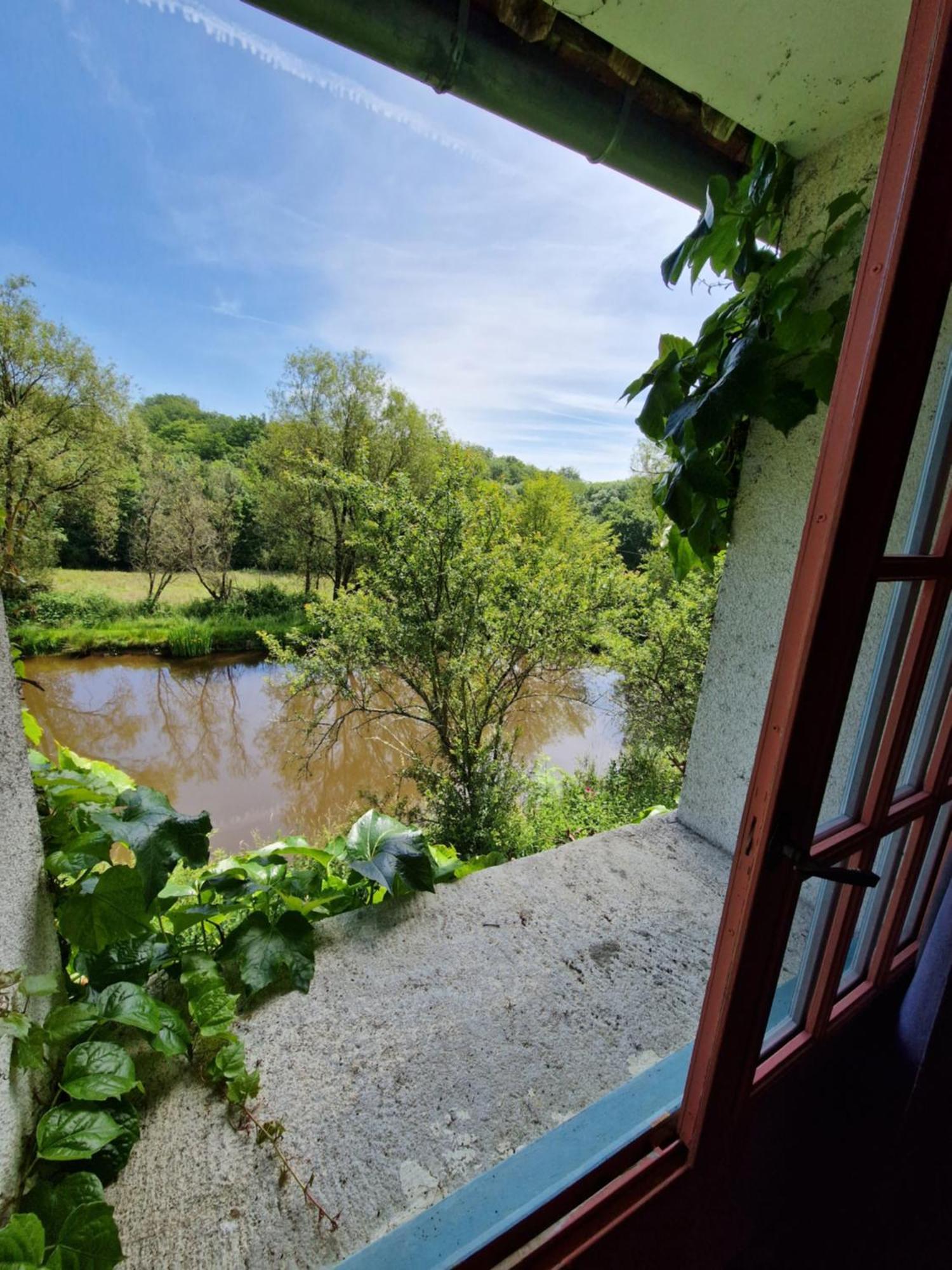 Ferme Equestre & Chambres D'Hotes Gateau Stables Proche Guedelon Saint-Amand-en-Puisaye エクステリア 写真