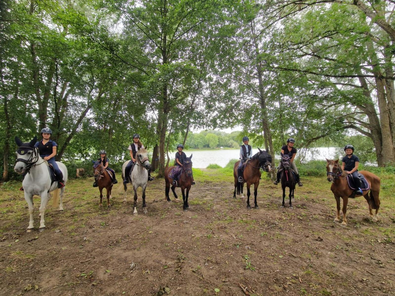 Ferme Equestre & Chambres D'Hotes Gateau Stables Proche Guedelon Saint-Amand-en-Puisaye エクステリア 写真