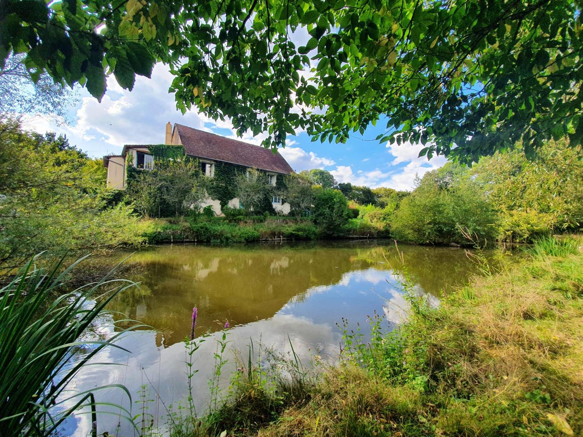 Ferme Equestre & Chambres D'Hotes Gateau Stables Proche Guedelon Saint-Amand-en-Puisaye エクステリア 写真