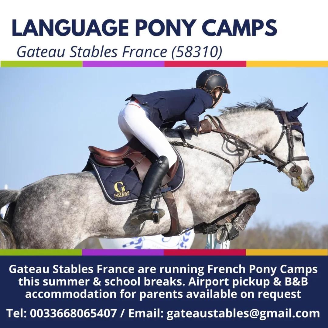 Ferme Equestre & Chambres D'Hotes Gateau Stables Proche Guedelon Saint-Amand-en-Puisaye エクステリア 写真