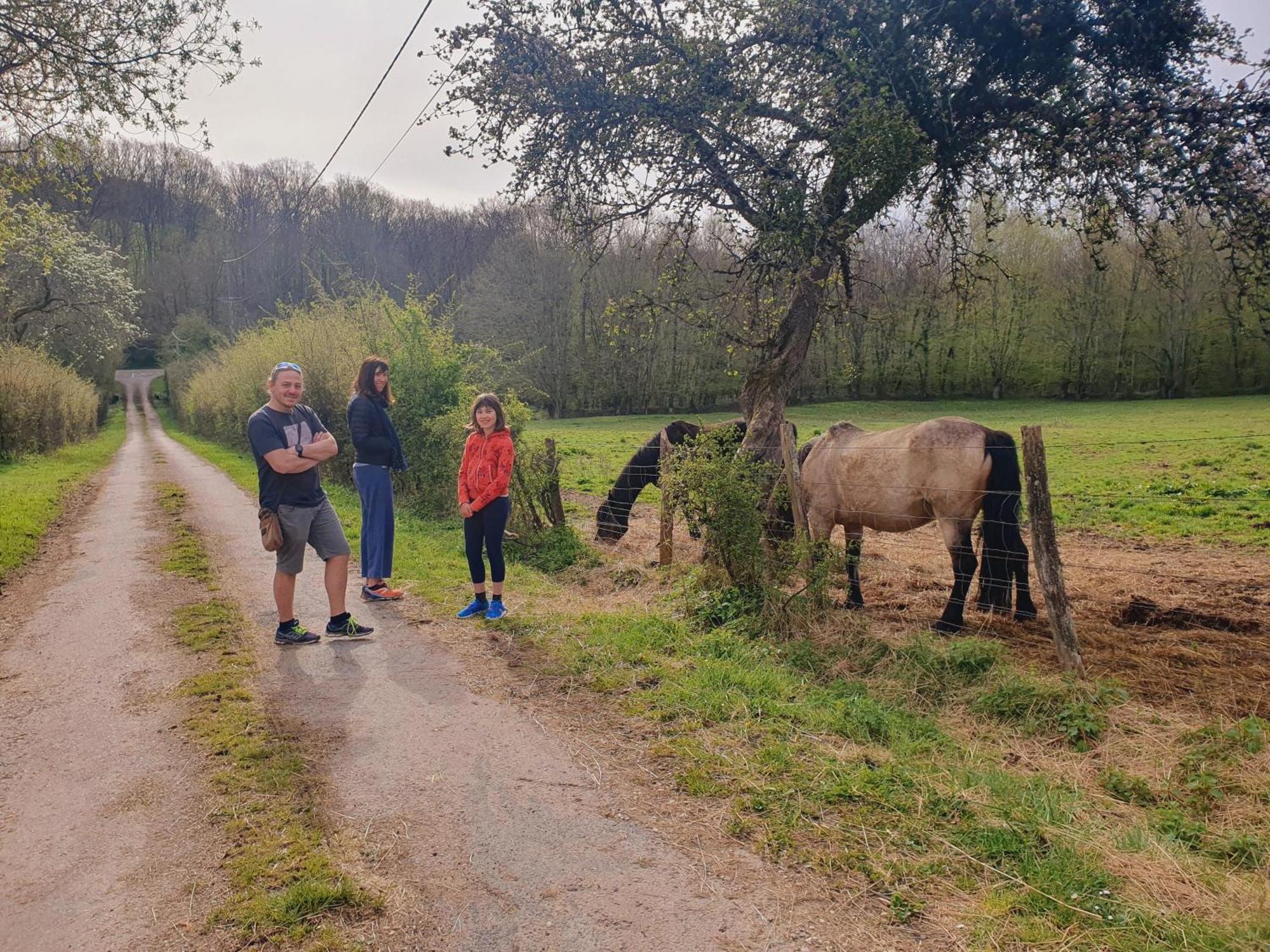 Ferme Equestre & Chambres D'Hotes Gateau Stables Proche Guedelon Saint-Amand-en-Puisaye エクステリア 写真