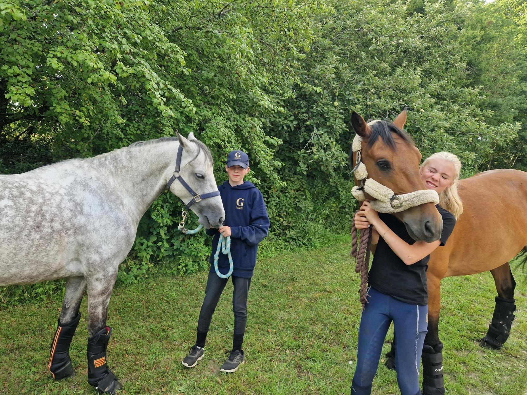 Ferme Equestre & Chambres D'Hotes Gateau Stables Proche Guedelon Saint-Amand-en-Puisaye エクステリア 写真