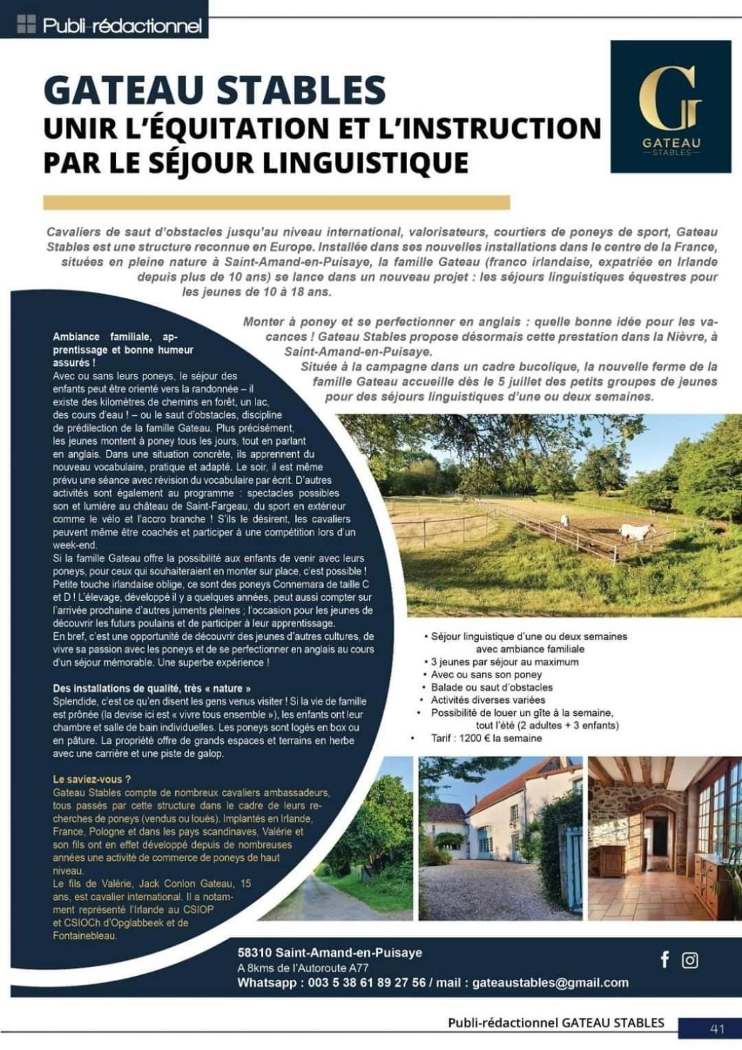Ferme Equestre & Chambres D'Hotes Gateau Stables Proche Guedelon Saint-Amand-en-Puisaye エクステリア 写真
