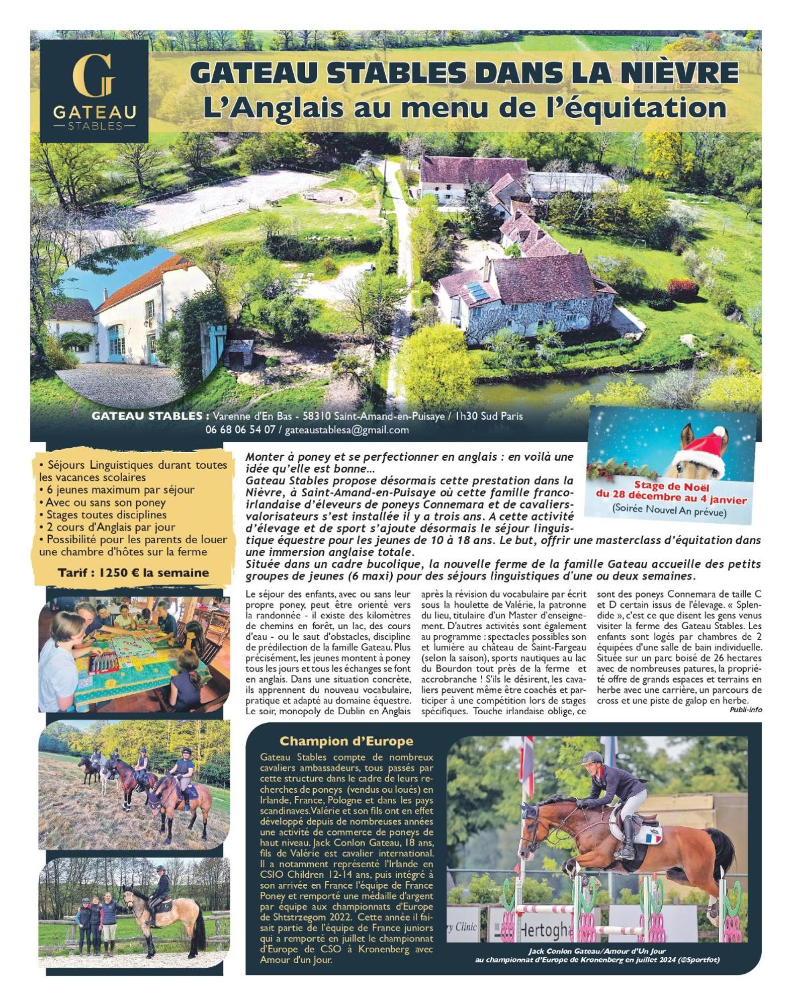 Ferme Equestre & Chambres D'Hotes Gateau Stables Proche Guedelon Saint-Amand-en-Puisaye エクステリア 写真